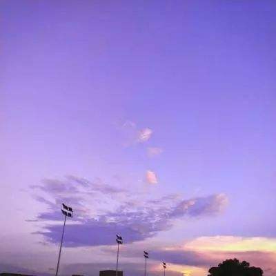 加拿大pc入口手机app下载